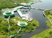 Ariau Amazon Towers - Manaus